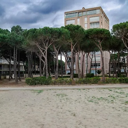 Studio Les Pieds Dans L'Eau Argeles Sur Mer Extérieur photo