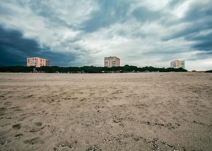 Studio Les Pieds Dans L\'Eau Argeles Sur Mer