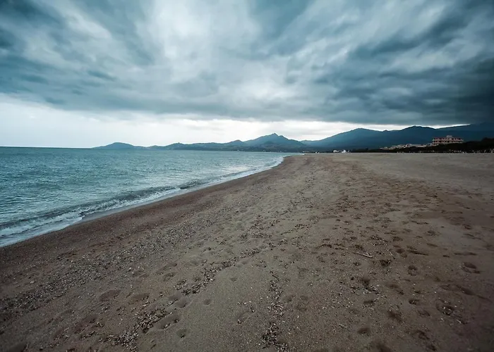 Studio Les Pieds Dans L\'Eau Argeles Sur Mer