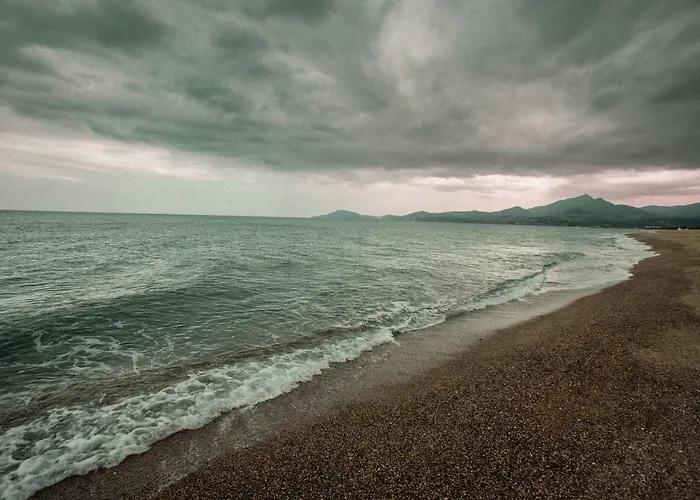 Studio Les Pieds Dans L\'Eau Argeles Sur Mer